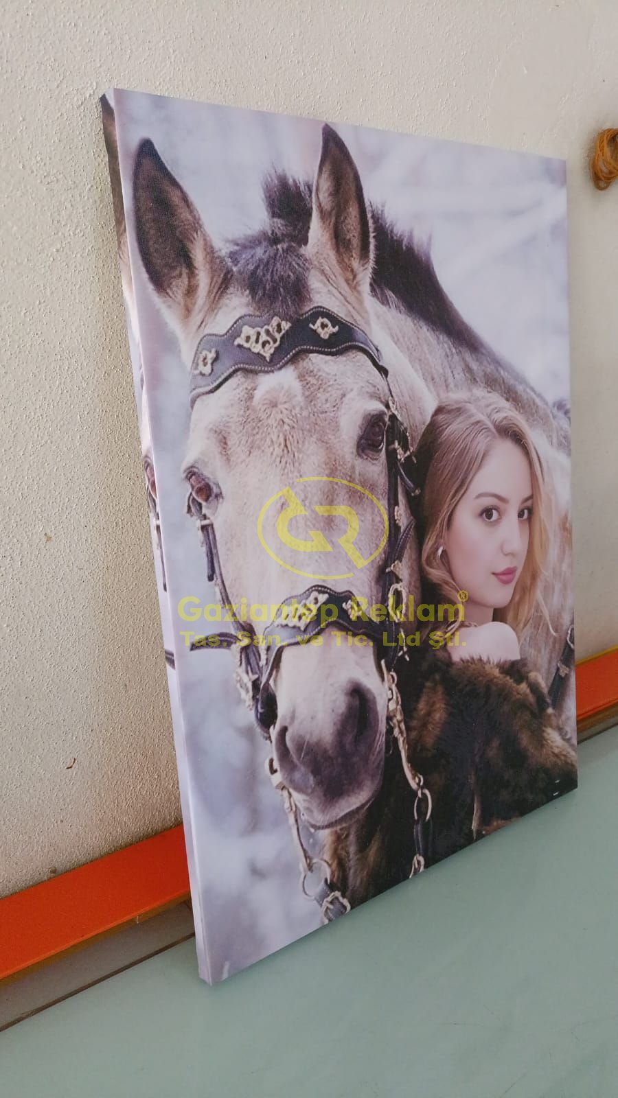 Dekoratif Yüksek Kalite Kanvas Tablo Baskıları